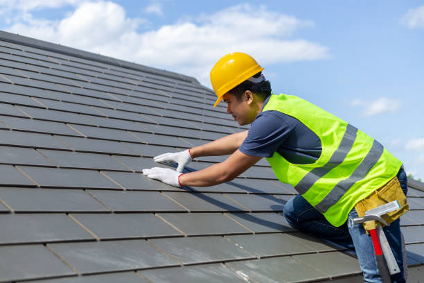 Best Storm Damage Roof Repair  in Holly, MI