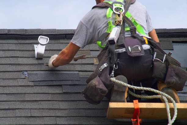 Best Roof Leak Repair  in Holly, MI