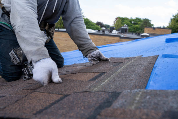 Professional Roofing Contractor in Holly, MI