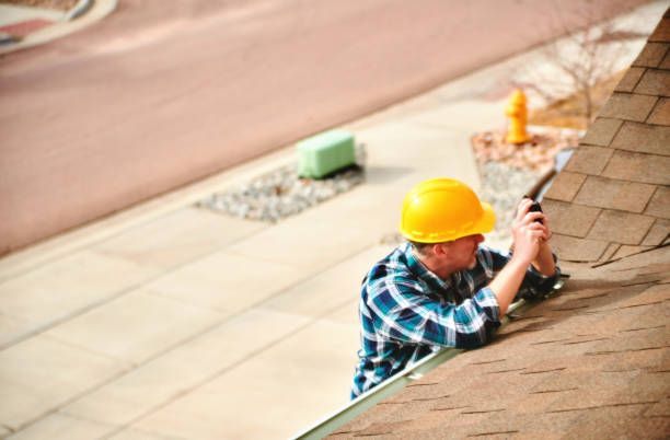 Best Metal Roofing Contractor  in Holly, MI