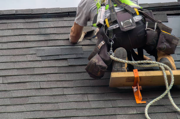 Best Residential Roofing Contractor  in Holly, MI