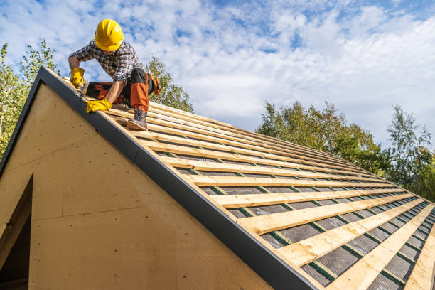 Best Commercial Roofing Services  in Holly, MI