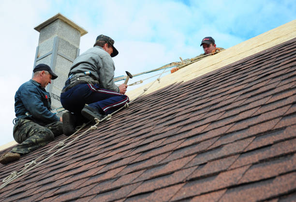 Best Tile Roofing Contractor  in Holly, MI